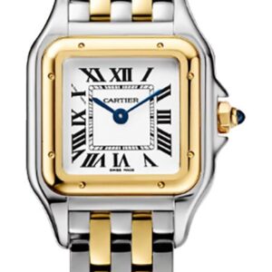 panthere de cartier small gold steel womens watch w2pn0013