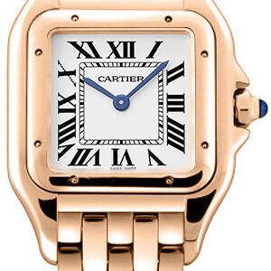 panthere de cartier wgpn0006