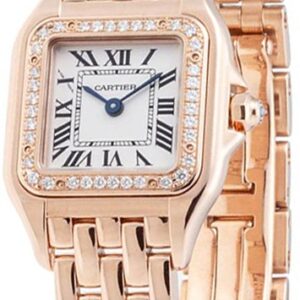 panthere de cartier wjpn0008