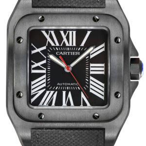 santos 100 wssa0006