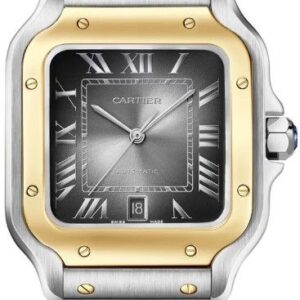 santos de cartier anthracite grey dial mens watch w2sa0030