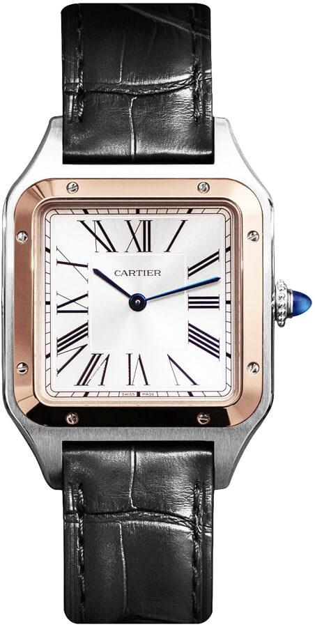 santos dumont large silver dial mens watch w2sa0011 santos dumont large silver dial mens watch w2sa0011