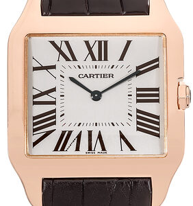 santos dumont w2006951