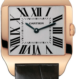 santos dumont w2009251