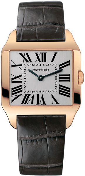 santos dumont w2009251 santos dumont w2009251