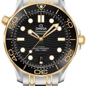 Seamaster 42mm Men's Luxury Watch 210.20.42.20.01.002