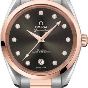 Seamaster Aqua Terra 220.20.38.20.56.001
