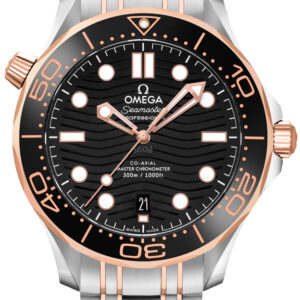 Seamaster Men's Watch 210.20.42.20.01.001
